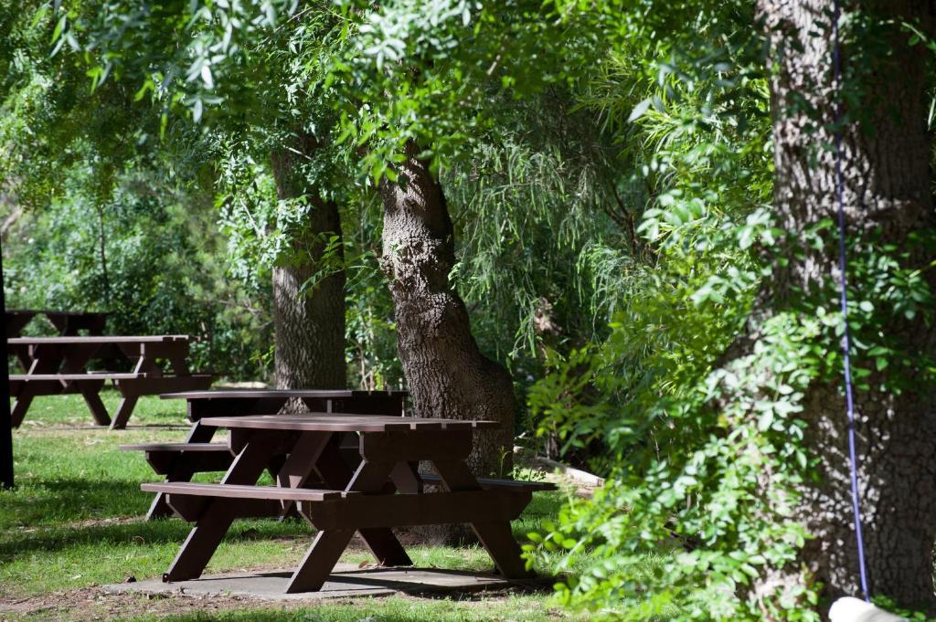 Отель Adelaide Brownhill Creek Tourist Park Экстерьер фото
