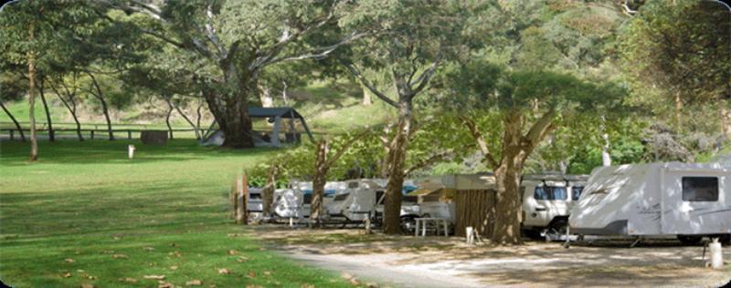 Отель Adelaide Brownhill Creek Tourist Park Экстерьер фото